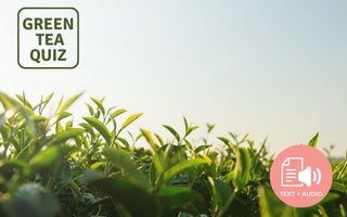 Can I Grow Tea Plant In My Yard?