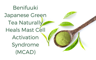 Benifuuki Japanese Green Tea naturally heals mast cell activation syndrome