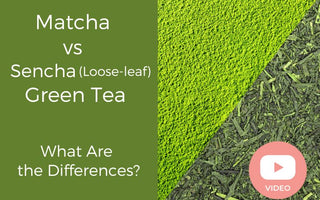 Matcha vs Sencha (Loose-leaf) Green Tea: What Are the Differences?