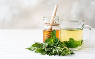 Oregano Tea Benefits and Some Healthy Tea Snacks