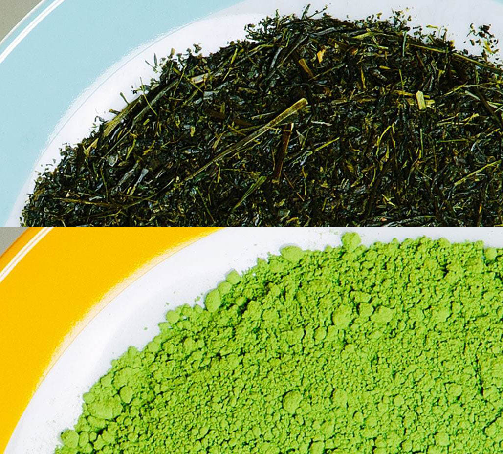 Close up of Japanese Green Tea Chamipions