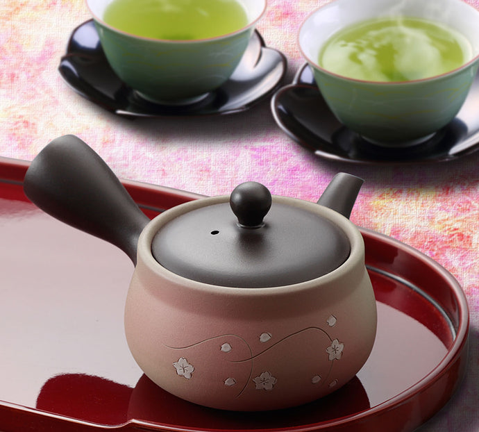 Tokonome Yaki - Kyusu - 330cc Teapot For Fukamushi Tea