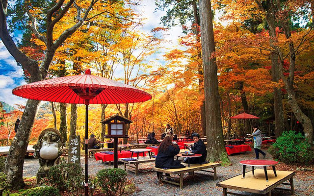 10 Must-See Place in Uji, Kyoto for Tea Lovers