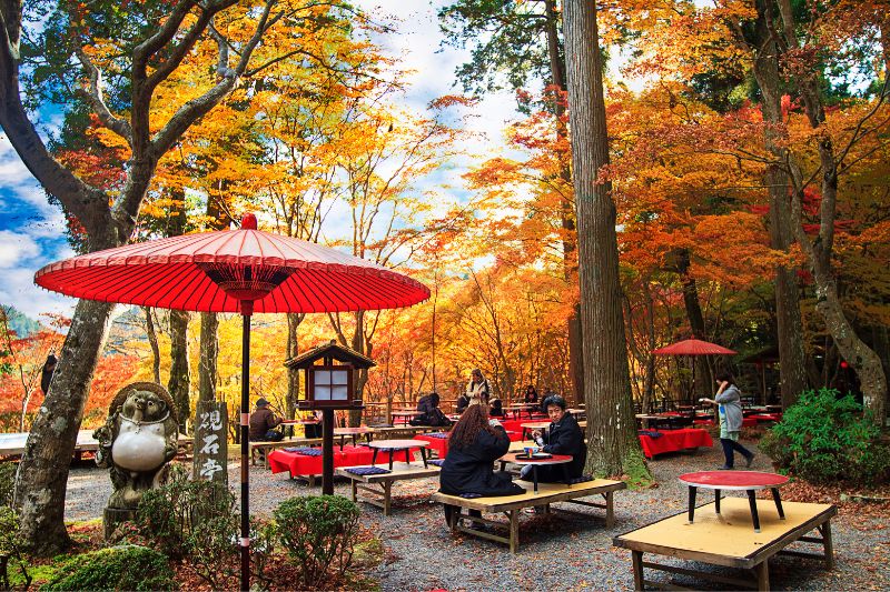 10 Must-See Place in Uji, Kyoto for Tea Lovers