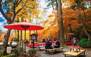 10 Must-See Place in Uji, Kyoto for Tea Lovers