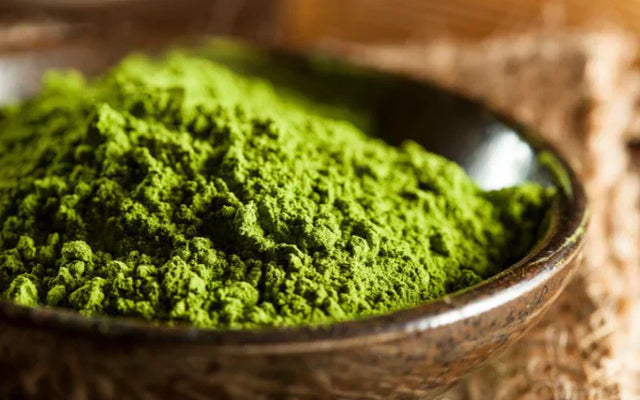 25 Matcha Trivia You (Probably) Didn't Know