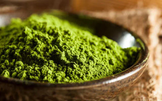 25 Matcha Trivia You (Probably) Didn't Know