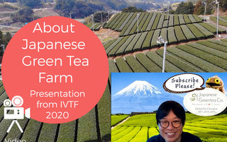 About Our Japanese Green Tea Farm - Presentation at International Virtual Tea Festival 2020