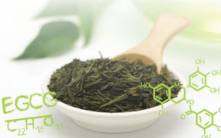 Green Tea Science Part 6: Everything You Need to Know About Green Tea and Collagen