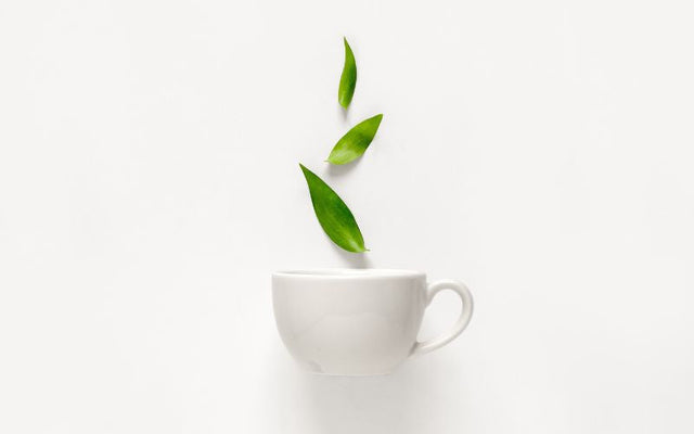 Can I Put Nano-CBD Oil In My Japanese Green Tea?