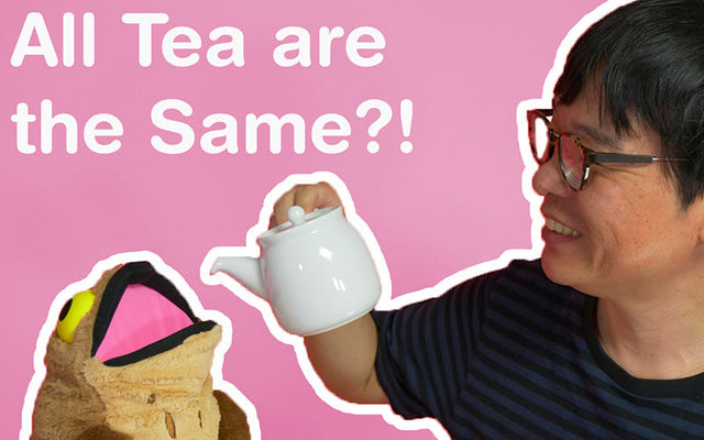 All Tea are the Same?! - ChaCha's GreenTea Room Video