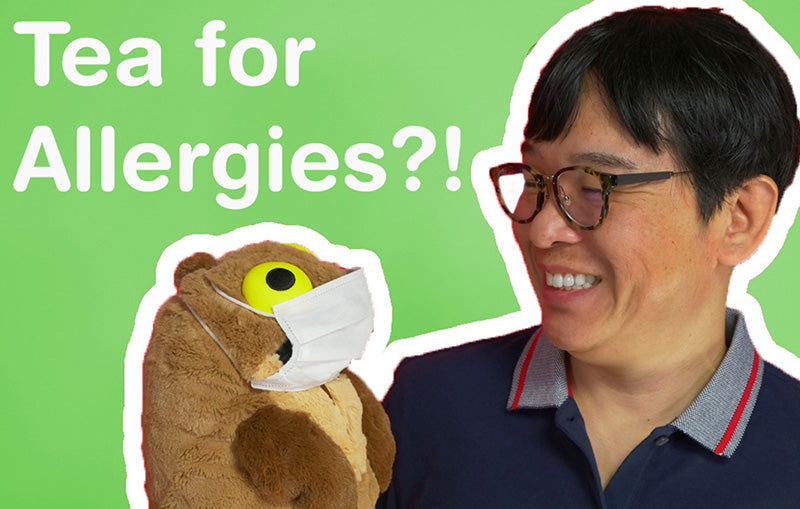 Tea for Allergies?! What is Benifuki Tea? - ChaCha's GreenTea Room Video