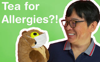 Tea for Allergies?! What is Benifuki Tea? - ChaCha's GreenTea Room Video