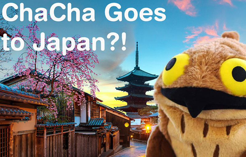 ChaCha Goes To Japan?! - ChaCha's GreenTea Room Video