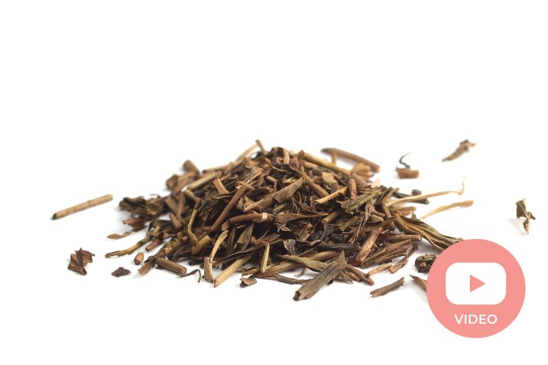 Does Roasting Green Tea (Hojicha) Make It Less Healthy?