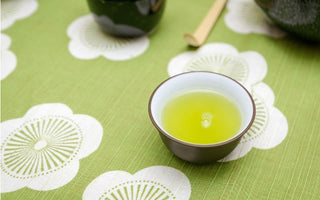 Everything You Need To Know About 2nd Infusion