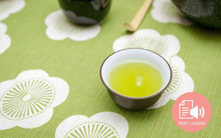 Everything you need to know about 2nd infusion