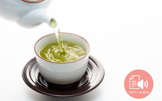Everything You Need to Know About Sencha Green Tea