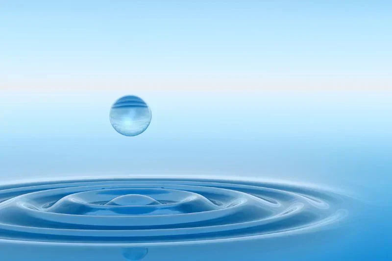 Everything You Need To Know About Water And Japanese Green Tea