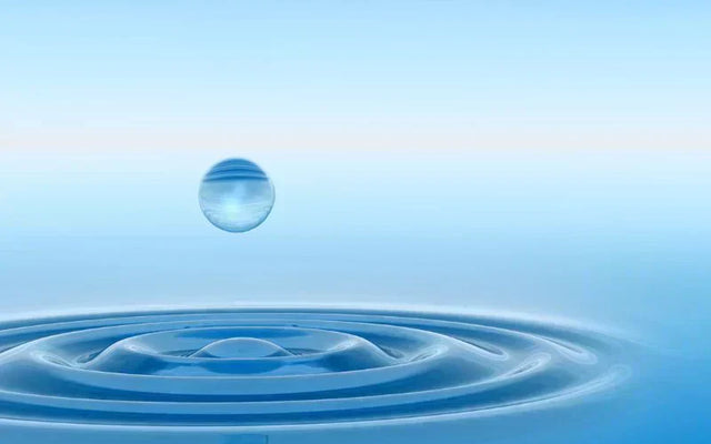 Everything You Need To Know About Water And Japanese Green Tea