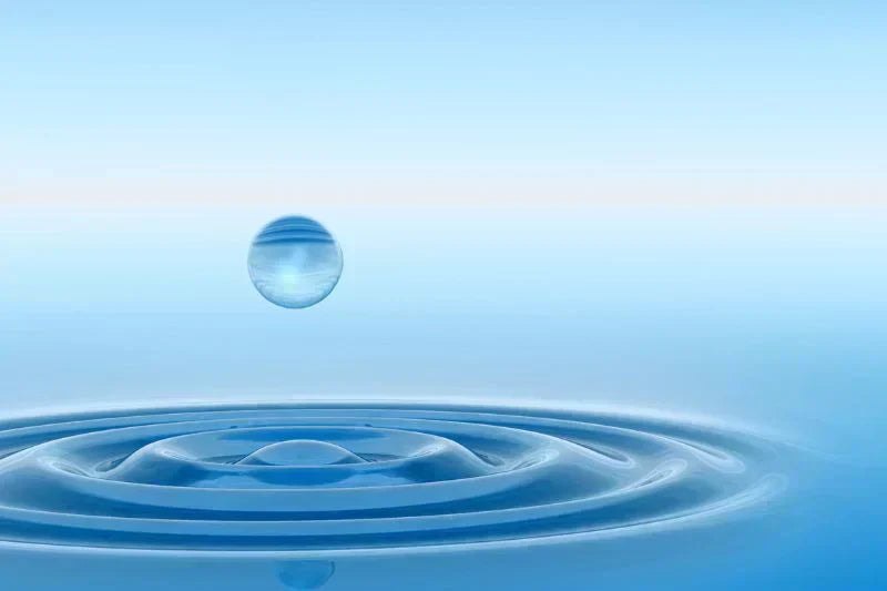 Everything You Need To Know About Water And Japanese Green Tea