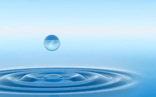 Everything You Need To Know About Water And Japanese Green Tea