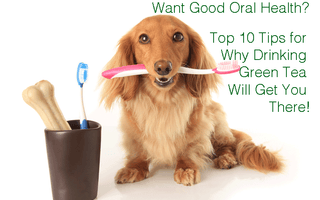 Want Good Oral Health? Get Our Top Ten Tips for Why Drinking Green Tea Will Get You There!
