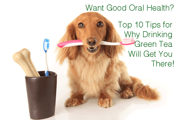 Want Good Oral Health? Get Our Top Ten Tips for Why Drinking Green Tea Will Get You There!
