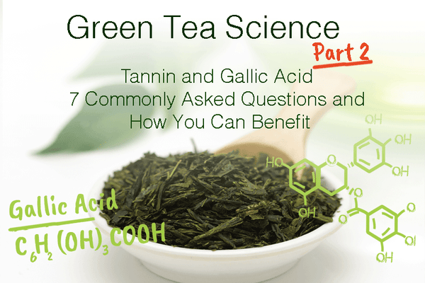 Green Tea Science Part 2: Tannin, and Gallic Acid – 7 Commonly Asked Questions and How You Can Benefit