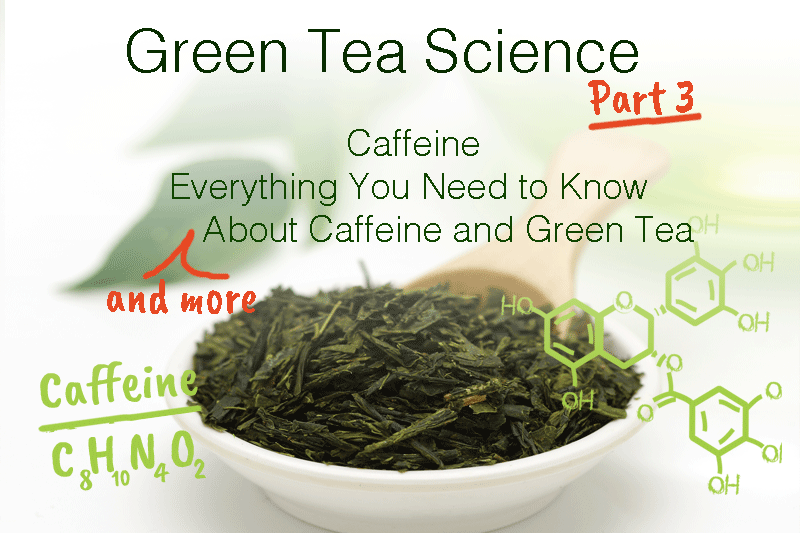 Green Tea Science Part 3: Everything You Need to Know About Green Tea and Caffeine