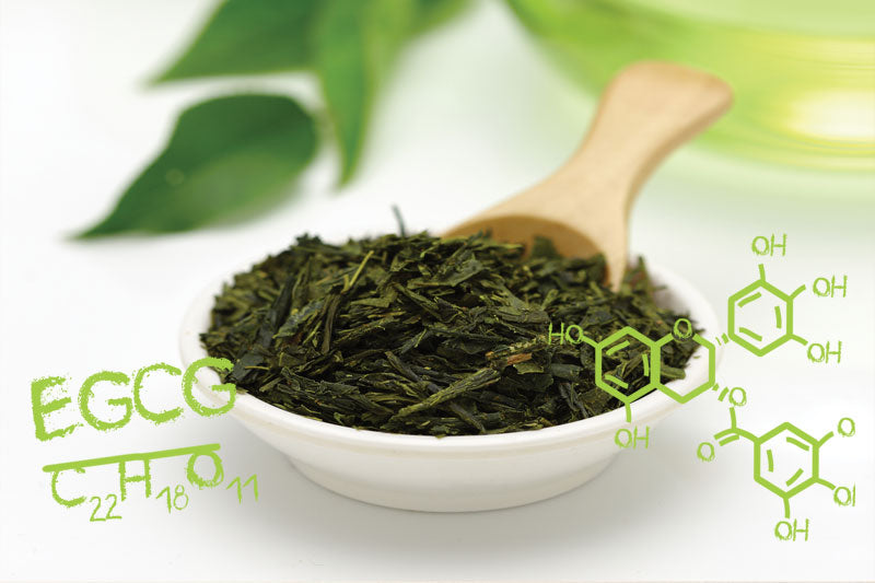 Green Tea Science Part 4 - Everything You Need to Know about Green Tea and Vitamins