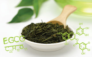 Green Tea Science Part 4 - Everything You Need to Know about Green Tea and Vitamins