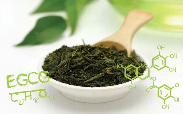 Green Tea Science Part 1: Polyphenols, Catechins and EGCG - 45 Commonly Asked Questions and How You Can Benefit