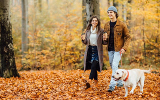 Hojicha Craze Goes Global