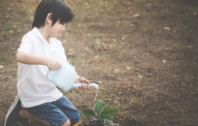 How A Japanese Tea Farm is Fighting Against Japan’s Biggest Problem – Age