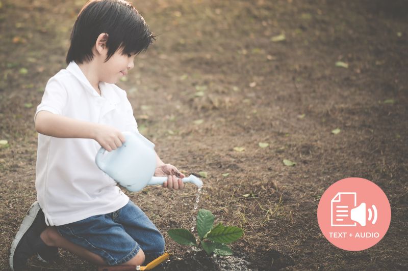 How A Japanese Tea Farm is Fighting Against Japan’s Biggest Problem – Age