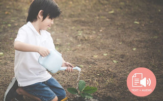 How A Japanese Tea Farm is Fighting Against Japan’s Biggest Problem – Age