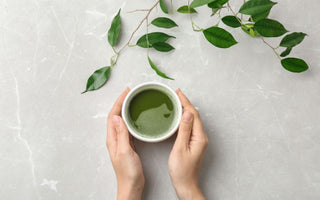How Does Green Tea Help Control Cholesterol Ratio?