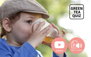 Is Green Tea Good for Kids? - True or False?  - Green Tea Quiz