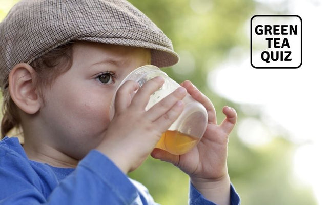 Is Green Tea Good for Kids? - True or False?  - Green Tea Quiz