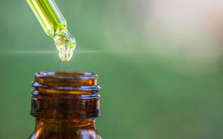 Japanese Green Tea and Aromatherapy