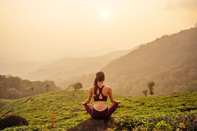 Japanese Green Tea and Yoga - 10 Surprising Facts About Two Cultures and How They Connect
