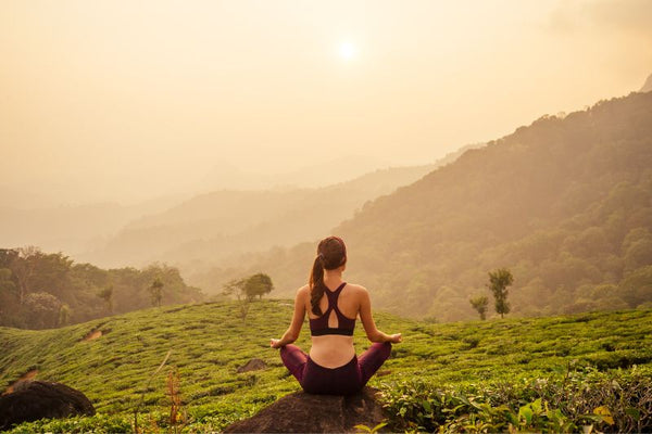 Japanese Green Tea and Yoga - 10 Surprising Facts about Two Cultures and How They Connect