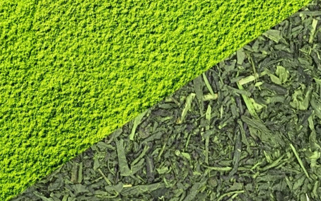 Matcha vs Sencha (Loose-leaf) Green Tea: What Are the Differences?