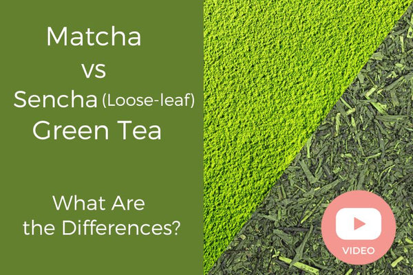 Matcha vs Sencha (Loose-leaf) Green Tea: What Are the Differences?