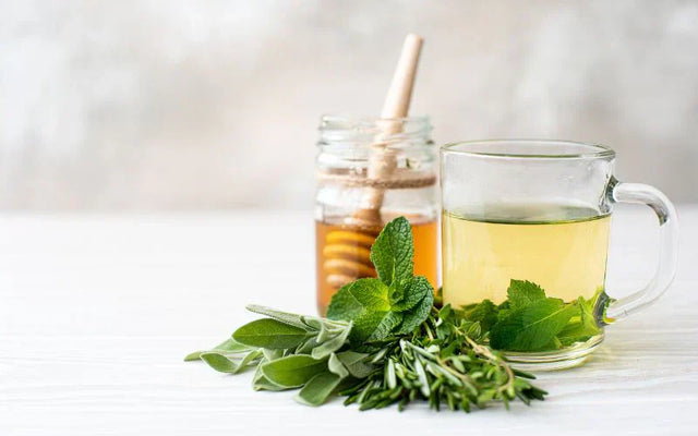 Oregano Tea Benefits and Some Healthy Tea Snacks