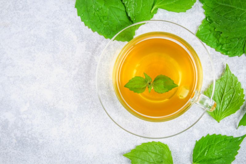 Stinging nettle tea (イラクサ) vs benifuki