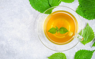 Stinging nettle tea (イラクサ) vs benifuki