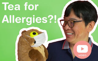 Tea for Allergies?! What is Benifuki Tea? - ChaCha's GreenTea Room Video