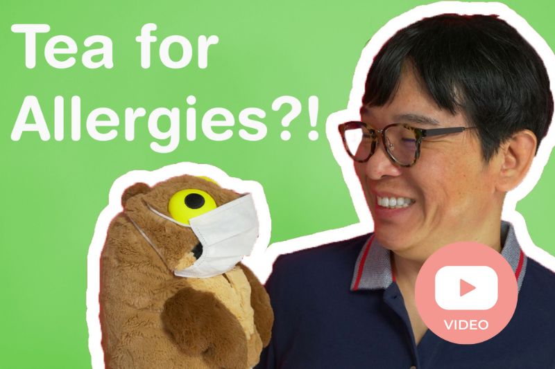 Tea for Allergies?! What is Benifuki Tea? - ChaCha's GreenTea Room Video